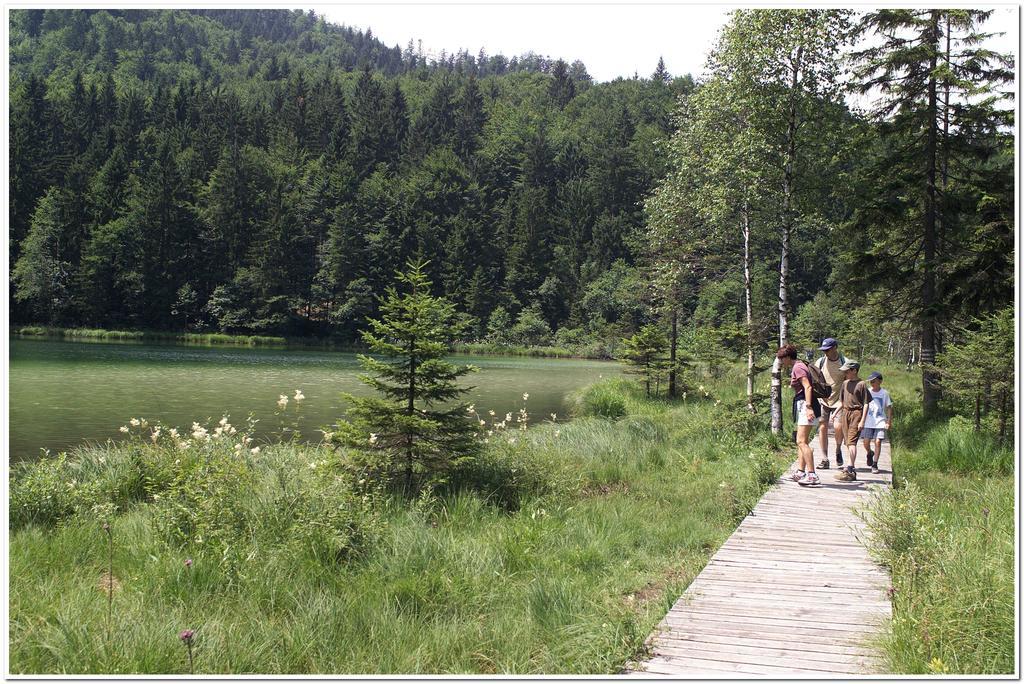 Aktivhotel & Gasthof Schmelz: Alpine Wellness Retreat in Inzell Exterior photo